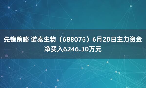 先锋策略 诺泰生物（688076）6月20日主力资金净买入6246.30万元