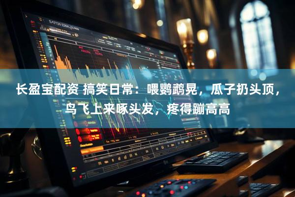 长盈宝配资 搞笑日常：喂鹦鹉晃，瓜子扔头顶，鸟飞上来啄头发，疼得蹦高高