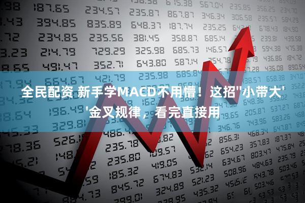 全民配资 新手学MACD不用懵！这招''小带大''金叉规律，看完直接用